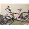 Image 2 : 2 BIKES: SILVER RALEIGH MOUNTAIN BIKE & RED NO NAME MOUNTAIN BIKE