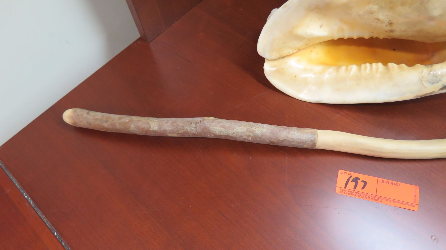 Helmet Shell & Massaging Stick (Guava Wood)?