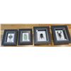 Image 1 : Framed Flying Dragon, Leaf Insect, Giant Rhino Beetle, Giant Scorpion