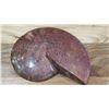 Image 1 : Fossil: Prehistoric Natural Ammonite, Green, Reddish Deposits (100-200 mil yrs)