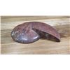 Image 8 : Fossil: Prehistoric Natural Ammonite, Green, Reddish Deposits (100-200 mil yrs)