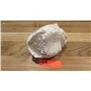 Image 8 : Fossil: Dinosaur Egg