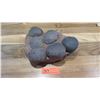 Image 2 : Fossil: Dinosaur Eggs (Approx. 225 million yrs)