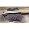 Image 8 : Fossil: Dinosaur Eggs (Approx. 225 million yrs)