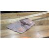 Image 9 : Fossil: 3-D Antiarch (Bothriolepis Canadensis, circa 375 million yrs)