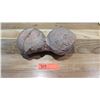 Image 1 : Fossil: Dinosaur Eggs (was purchased for $2450)