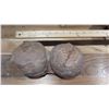 Image 8 : Fossil: Dinosaur Eggs (was purchased for $2450)