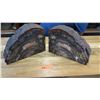 Image 2 : Fossil: Petrified Wood Layer from Arizona - Black, White, Red Hues