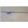 Image 7 : Surfboard: Off White, Damaged Areas Approx 20.5" x 84"