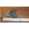 Image 8 : Fossil: Megalodon Tooth from Prehistoric Megalodon Shark (became extinct 2.6 mil yrs ago)