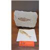 Image 1 : Fossil: Qty 2 Fossilized Fish (Osteichthyes, Knightia) on Rock Sheets