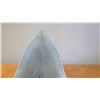 Image 8 : Fossil: Megalodon Tooth from Prehistoric Megalodon Shark (became extinct 2.6 mil yrs ago)