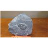 Image 2 : Fossil: Trilobite (Elrathia, circa 525 mil yrs), Embedded in Rock