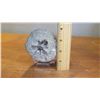 Image 7 : Fossil: Trilobite (Dicranurus Hamatus, circa 450 mil yrs), Embedded in Rock Segment