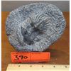 Image 1 : Fossil: Trilobite (Acidaspis, circa 450 mil yrs), Embedded in Rock Segment