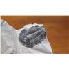 Image 3 : Fossil: Black Trilobite (Elrathia, circa 525 mil yrs) Partially Embedded in Rock Segment