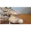 Image 4 : Fossil: Cave Bear Foot
