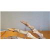 Image 7 : Fossil: Cave Bear Foot