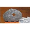 Image 1 : Meteorite - Found 1906, Norbotten, Sweden, Estimated Fall to Earth 110,000 Years