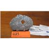 Image 3 : Meteorite - Found 1906, Norbotten, Sweden, Estimated Fall to Earth 110,000 Years