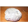Image 2 : Fossil: Trilobite (Sphaerexochus, 450 to 500 million yrs), 3-D Partially Embedded in Rock