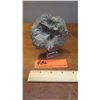 Image 2 : Fossil: Trilobite (Acidaspis?, circa 450 mil yrs), Embedded in Rock Segment