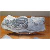 Image 2 : Fossil: 4 Pieces - Trilobites (Elrathia, circa 525 mil yrs) in Rock Sheets