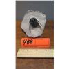 Image 2 : Fossil: Black Trilobite (Acidaspis?, circa 450 mil yrs), 3-D w/ Partially Embedded in Limestone