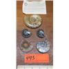 Image 1 : Fossil: 5 Pieces Ammonite from Jurassic age (circa 180 million years ago), Cut & Polished