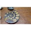 Image 3 : Fossil: 5 Pieces Ammonite from Jurassic age (circa 180 million years ago), Cut & Polished