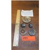 Image 8 : Fossil: 5 Pieces Ammonite from Jurassic age (circa 180 million years ago), Cut & Polished