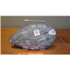Image 8 : Fossil: Orthoceras Embedded in Rock Segment, from Peru, Approx. 7"