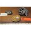 Image 1 : Fossil: 3 Fossilized Pieces (Mangrove Lobster, Nipponite, Fossilized Clam, 60-100 mil yrs)