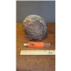Image 2 : Fossil: Dinosaur Egg, Approx. 5" dia.