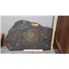 Image 2 : Fossil: Ammonites Embedded in Large Rock Segment, Approx. 2.5 Feet Across