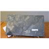 Image 8 : Fossil: Keichousaurus Hui, Triassic Period (circa 199 to 251 million years ago), Approx. 12" W