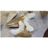Image 8 : Fossil: 5 Fossilized Shark's Teeth, Partially Embedded in Rock Segment, Approx. 9" Across