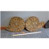 Image 2 : Fossil: 2 Large Fossilized Ammonites, Cut & Polished, Each Approx. 23" Across, 21" H