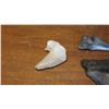 Image 2 : Fossil: 5 Fossilized Shark's Teeth