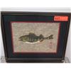 Image 1 : Framed Art - Original Japanese Gyotaku Fish Print, Approx 17" x 14