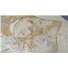 Image 2 : Fossil: Prehistoric Skate Shark, Embedded in Rock Sheet, Approx. 16" Across