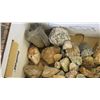 Image 2 : Box of Misc. Rocks & Objects from Arizona