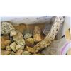 Image 3 : Box of Misc. Rocks & Objects from Arizona