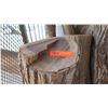 Image 2 : Milo Wood Log Segments for Woodworking