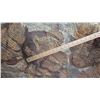 Image 18 : Fossil: Large Trilobite Plate, Trilobite Cluster (Olenellus, 525-550 mil yrs)