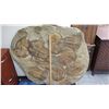 Image 2 : Fossil: Large Trilobite Plate, Trilobite Cluster (Olenellus, 525-550 mil yrs)