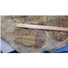 Image 4 : Fossil: Large Trilobite Plate, Trilobite Cluster (Olenellus, 525-550 mil yrs)