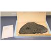 Image 1 : Meteorite - Pallisite, Approx. 20" x 12", Purchased for $15,000.00, Found 2005, Kansas
