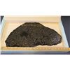 Image 2 : Meteorite - Pallisite, Approx. 20" x 12", Purchased for $15,000.00, Found 2005, Kansas