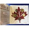 Image 2 : 2017 O CANADA 150 TH
